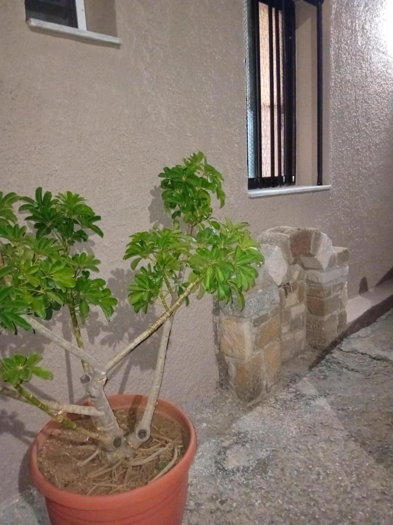 Casa Artemis Villa Plátanos Dış mekan fotoğraf